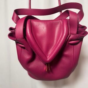 Bottega Veneta Beak Shoulder Bag 2Way Purple/Pink Leather Purse Crossbody